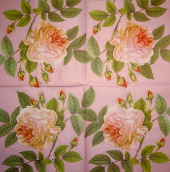 114 Rosen - 3-lagig